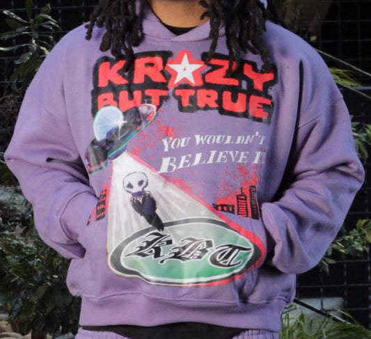 You Wouldn’t Believe it Hoodie (Purple)